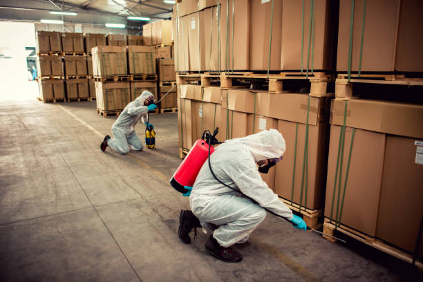 Best Wasp Removal Services  in Sughter, LA