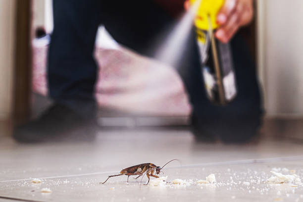 Reliable Slaughter, LA Pest Control Solutions